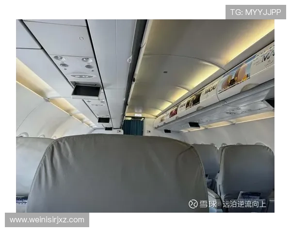 新濠国际官网：全面介绍新濠国际的官方网站及其最新动态