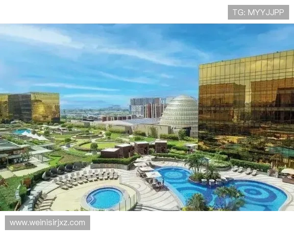 新濠博亚娱乐有限公司:推动区域经济发展的重要力量 新濠博亚娱乐有限公司:推动区域经济发展的重要力量