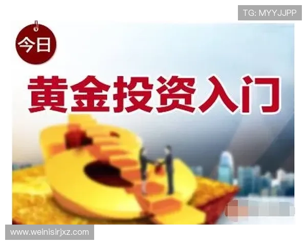 博金官网最新版本更新内容与维护公告及时掌握游戏动态