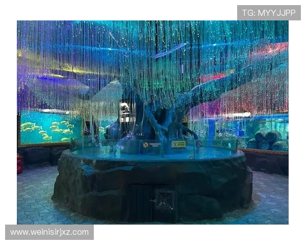 回力海立方娱乐场优惠活动时间安排及参与方式详尽介绍